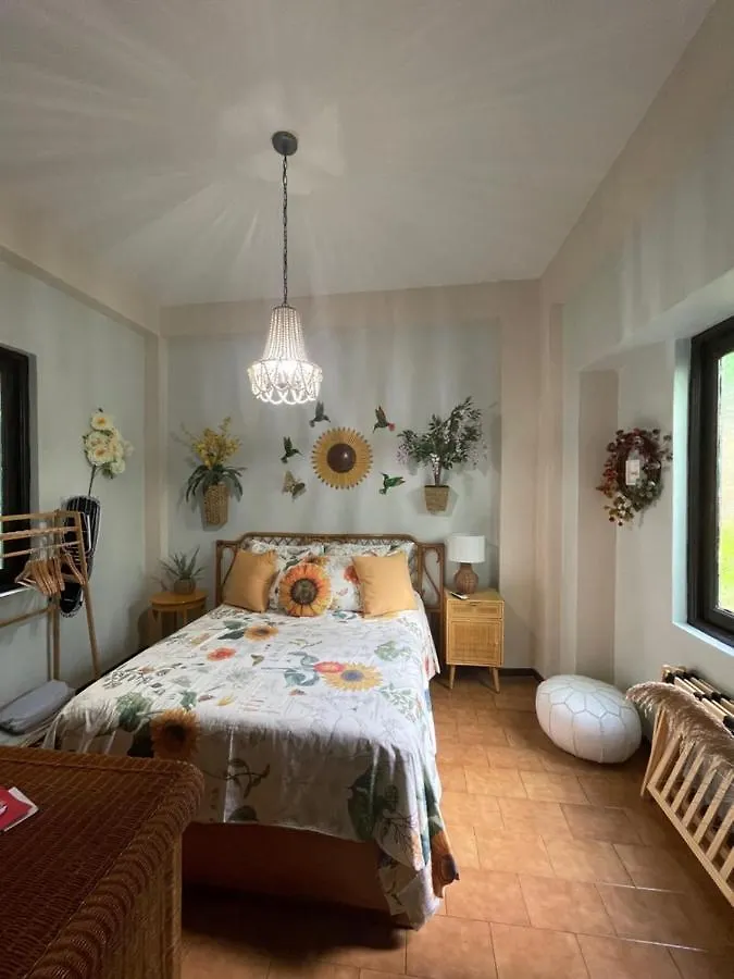 The Garden Apartment, The Willow Apartment, & The Tropical Apartment At Casa Of Essence In Old San Juan Puerto Rico