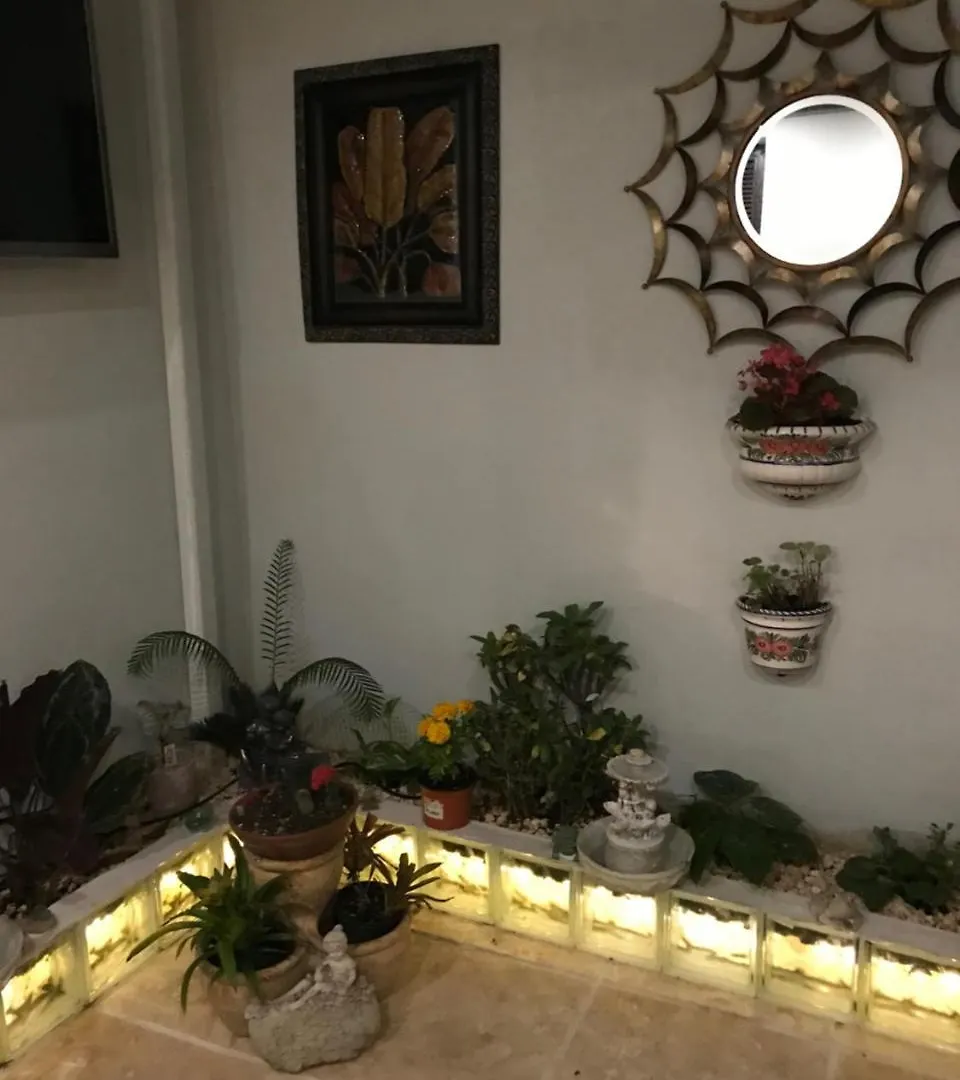 The Garden Apartment, The Willow Apartment, & The Tropical Apartment At Casa Of Essence In Old San Juan